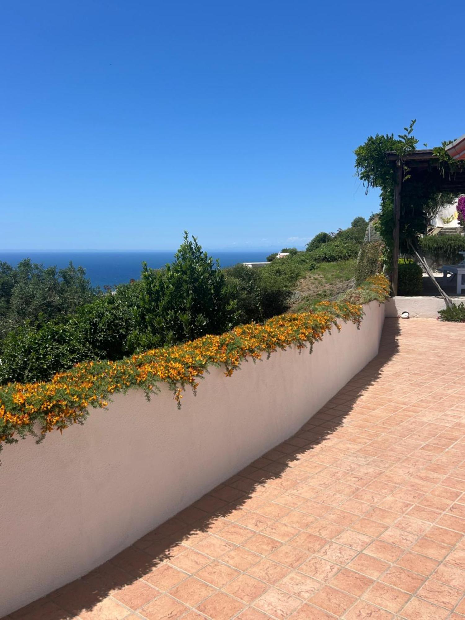 Villa Inarime Ischia Exterior photo