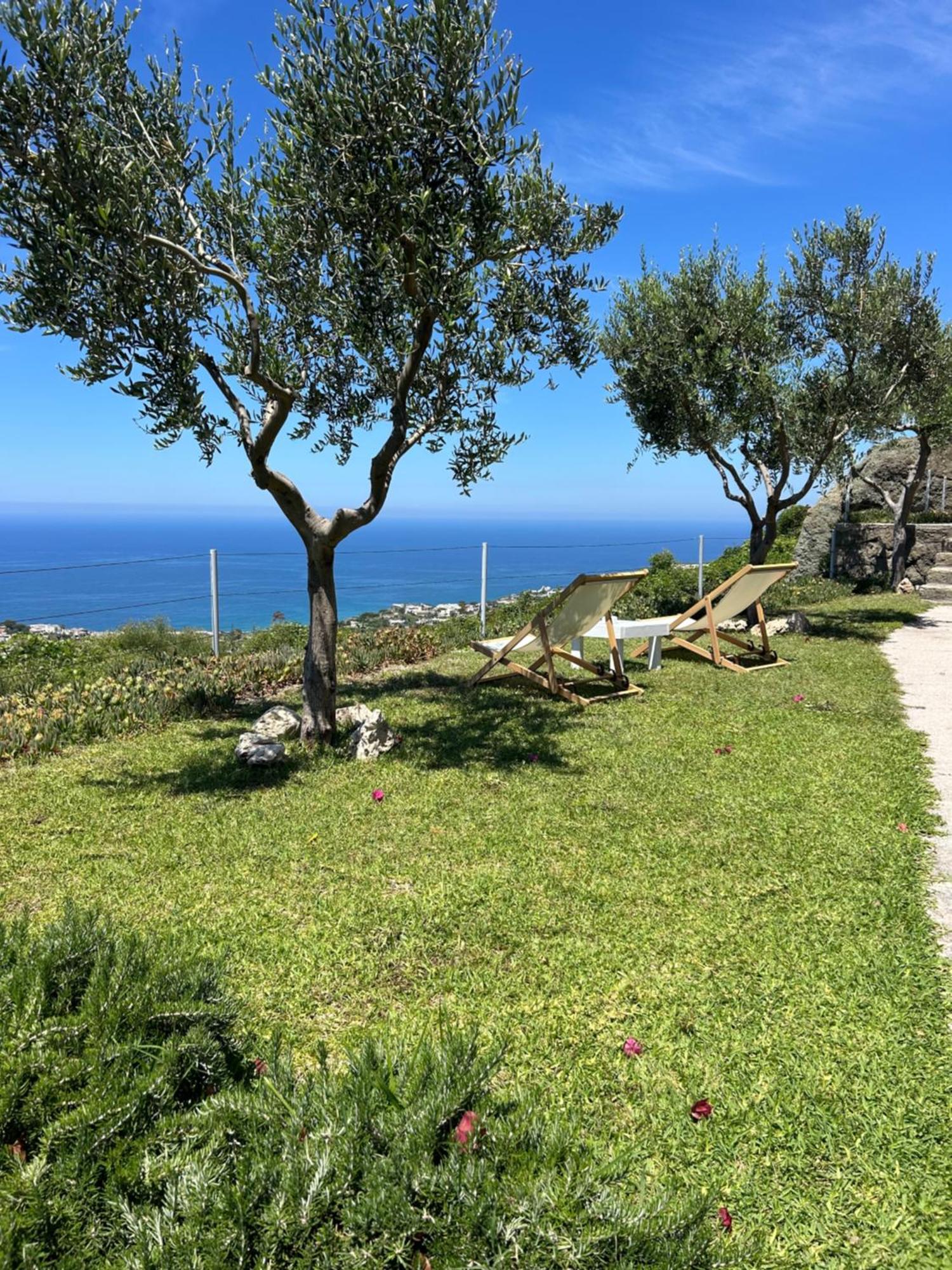 Villa Inarime Ischia Exterior photo